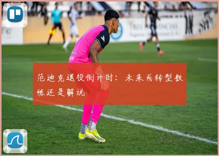 范迪克退役倒计时：未来或转型教练还是解说