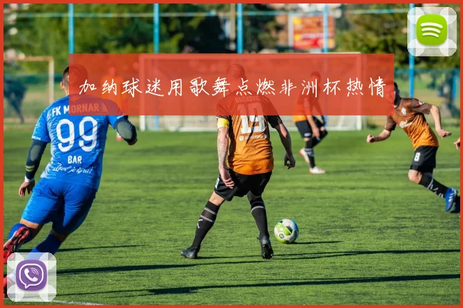 加纳球迷用歌舞点燃非洲杯热情