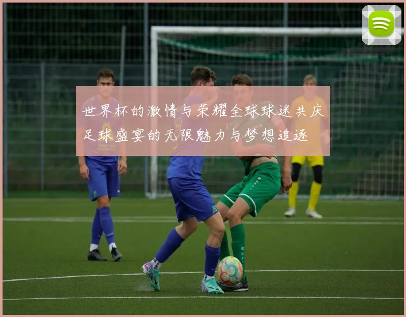世界杯的激情与荣耀全球球迷共庆足球盛宴的无限魅力与梦想追逐