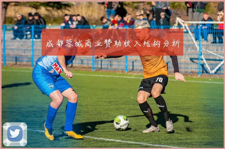 成都蓉城商业赞助收入结构分析