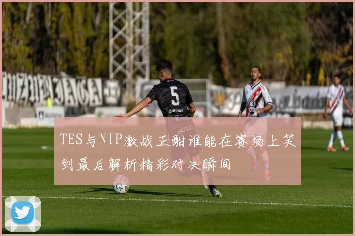 TES与NIP激战正酣谁能在赛场上笑到最后解析精彩对决瞬间
